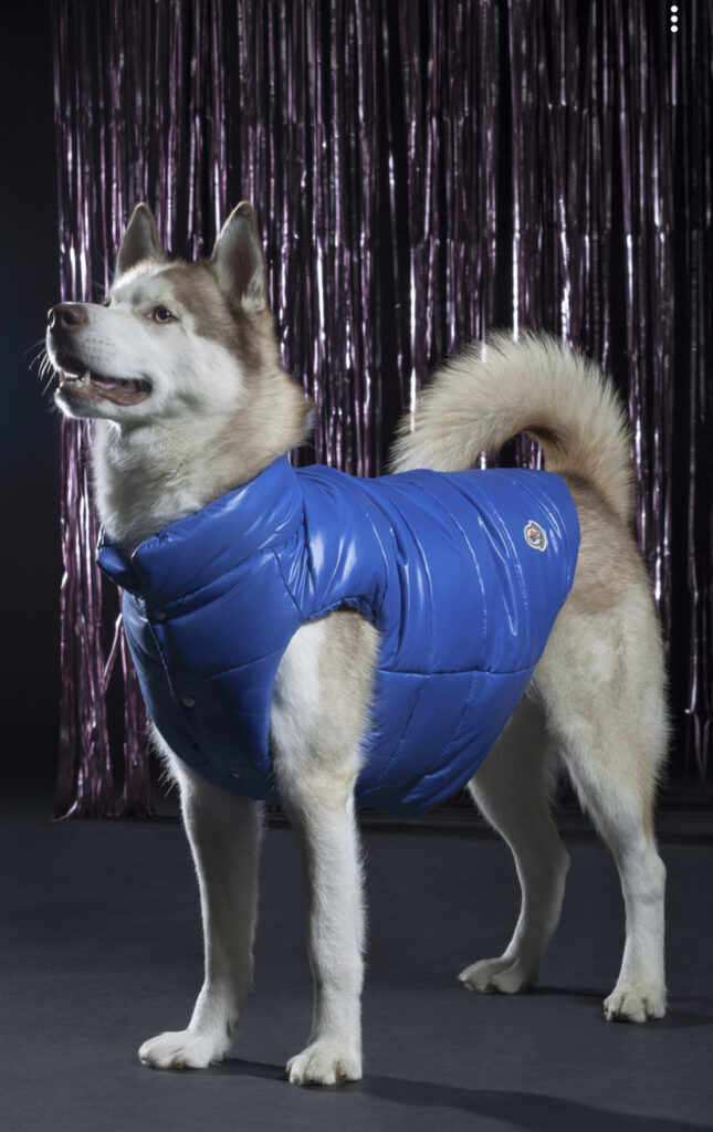 Dogs For Love // Bauer + Moncler + Poldo Rescue
