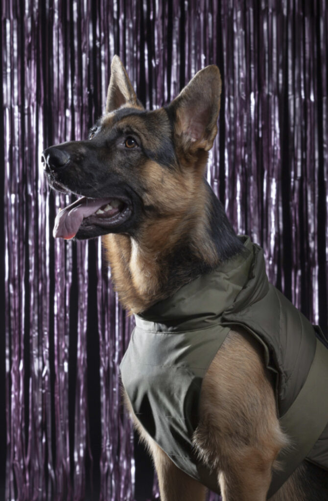 Dogs For Love // Bauer + Moncler + Poldo Rescue