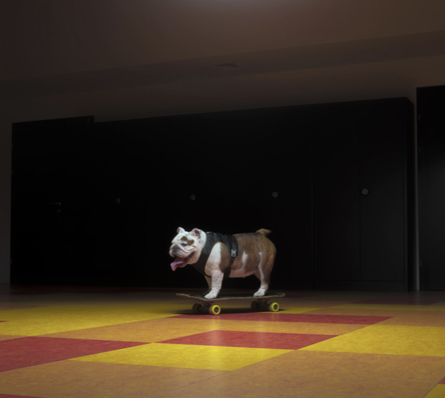 Dogs For Love // Bauer + Moncler + Poldo Rescue